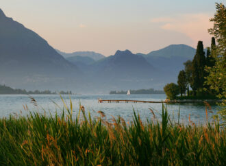 العودة الجزئية الي جدول اعمالي الأسبوعي