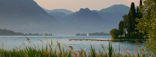 اختيار الاضحية وتعليمات ما قبل الحج اهم فقرات مساء الخير يا مصر .. اليوم