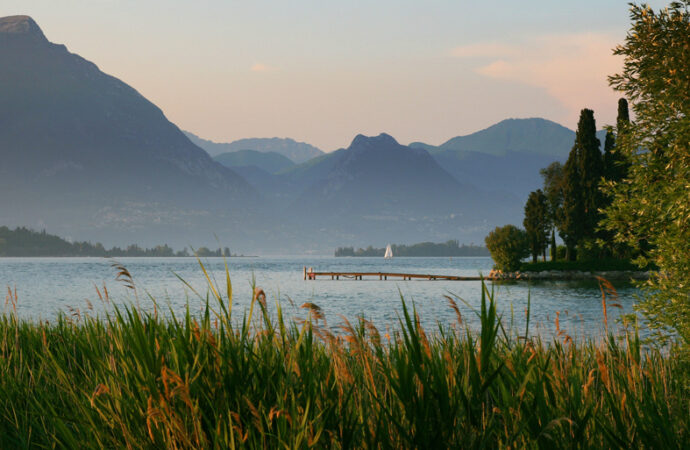 العودة الجزئية الي جدول اعمالي الأسبوعي
