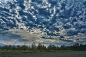 أبراج من الدخان